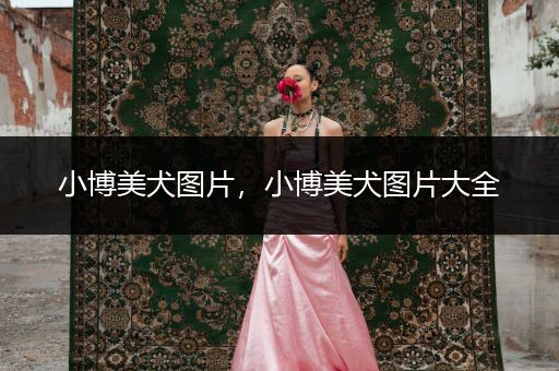 小博美犬圖片，小博美犬圖片大全