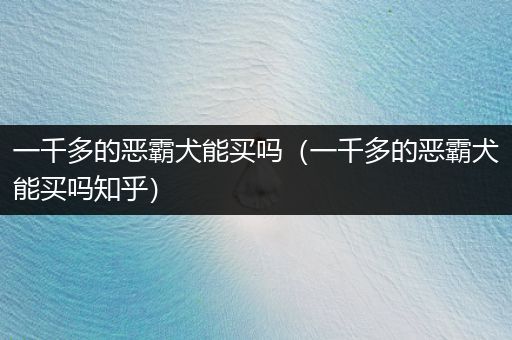 一千多的惡霸犬能買嗎（一千多的惡霸犬能買嗎知乎）