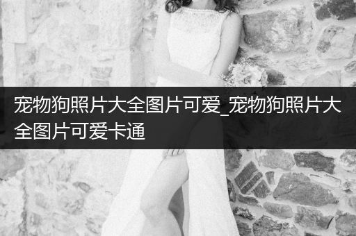 寵物狗照片大全圖片可愛_寵物狗照片大全圖片可愛卡通