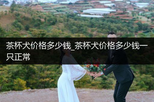 茶杯犬價(jià)格多少錢(qián)_茶杯犬價(jià)格多少錢(qián)一只正常