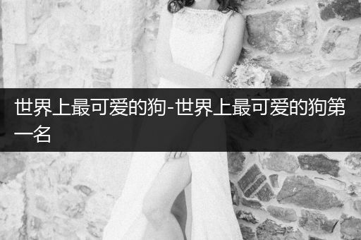 世界上最可愛的狗-世界上最可愛的狗第一名