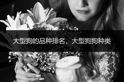 大型狗的品種排名，大型狗狗種類