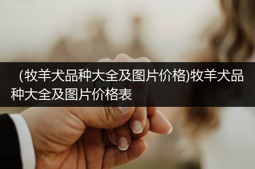 （牧羊犬品種大全及圖片價(jià)格)牧羊犬品種大全及圖片價(jià)格表