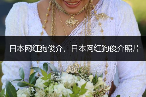 日本網(wǎng)紅狗俊介，日本網(wǎng)紅狗俊介照片