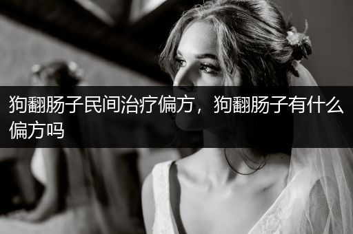 狗翻腸子民間治療偏方，狗翻腸子有什么偏方嗎
