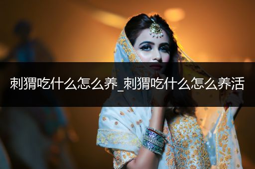 刺猬吃什么怎么養(yǎng)_刺猬吃什么怎么養(yǎng)活