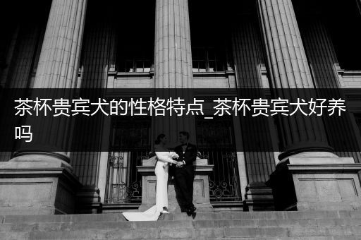 茶杯貴賓犬的性格特點_茶杯貴賓犬好養(yǎng)嗎
