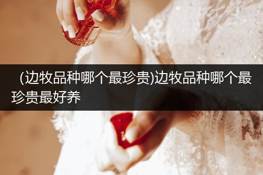 （邊牧品種哪個(gè)最珍貴)邊牧品種哪個(gè)最珍貴最好養(yǎng)