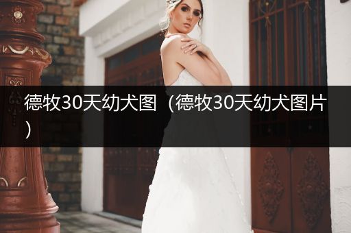 德牧30天幼犬圖（德牧30天幼犬圖片）