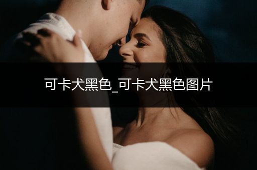 可卡犬黑色_可卡犬黑色圖片