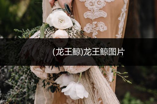 （龍王鯨)龍王鯨圖片