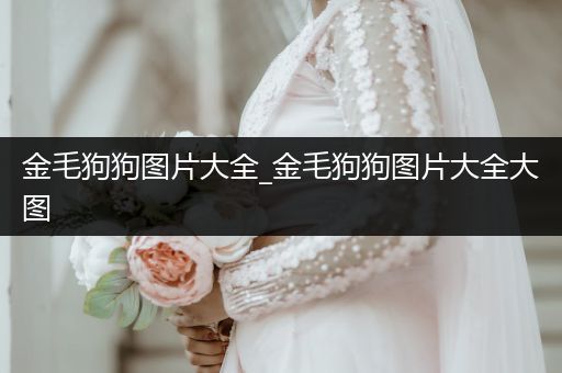 金毛狗狗圖片大全_金毛狗狗圖片大全大圖