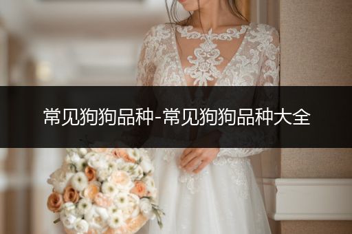 常見狗狗品種-常見狗狗品種大全