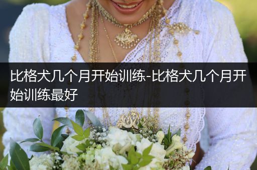 比格犬幾個月開始訓(xùn)練-比格犬幾個月開始訓(xùn)練最好