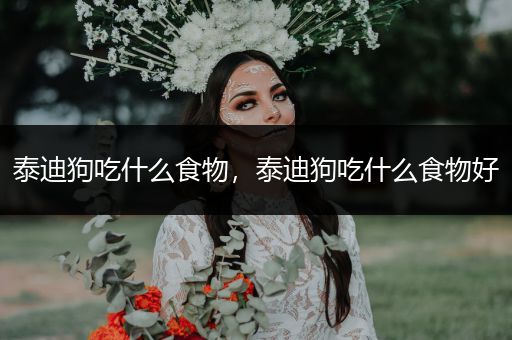 泰迪狗吃什么食物，泰迪狗吃什么食物好