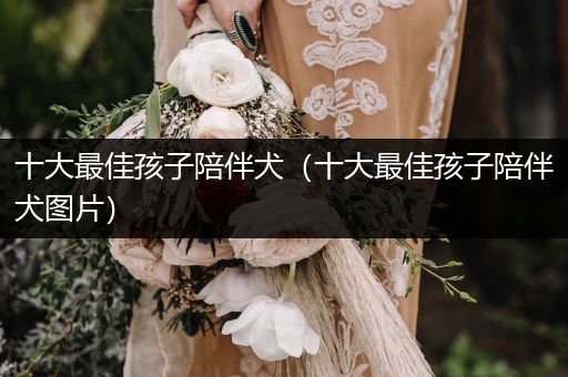 十大最佳孩子陪伴犬（十大最佳孩子陪伴犬圖片）