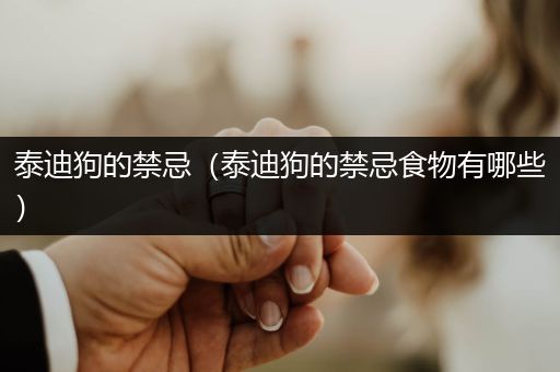 泰迪狗的禁忌（泰迪狗的禁忌食物有哪些）