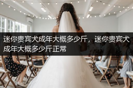 迷你貴賓犬成年大概多少斤，迷你貴賓犬成年大概多少斤正常