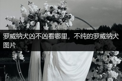 羅威納犬兇不兇看哪里，不純的羅威納犬圖片