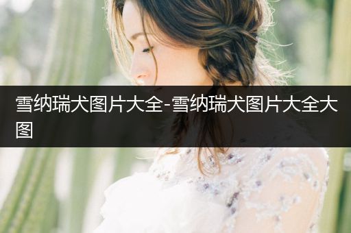 雪納瑞犬圖片大全-雪納瑞犬圖片大全大圖