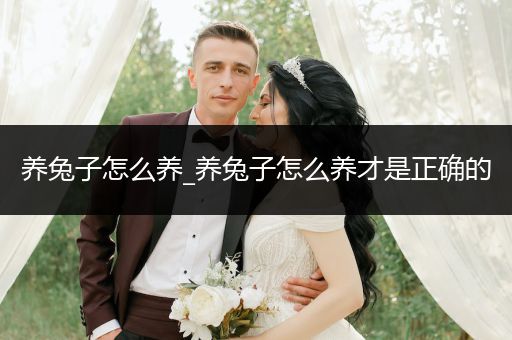 養(yǎng)兔子怎么養(yǎng)_養(yǎng)兔子怎么養(yǎng)才是正確的