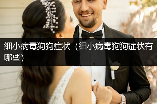 細小病毒狗狗癥狀（細小病毒狗狗癥狀有哪些）