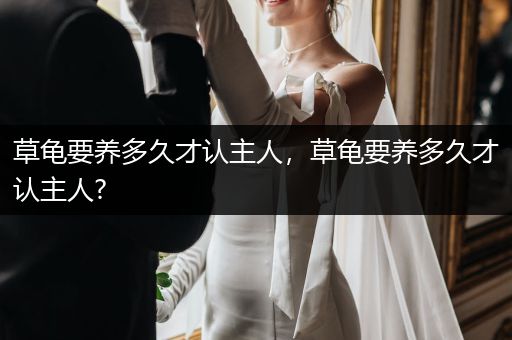 草龜要養(yǎng)多久才認主人，草龜要養(yǎng)多久才認主人?