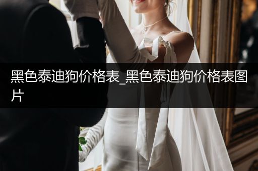 黑色泰迪狗價格表_黑色泰迪狗價格表圖片