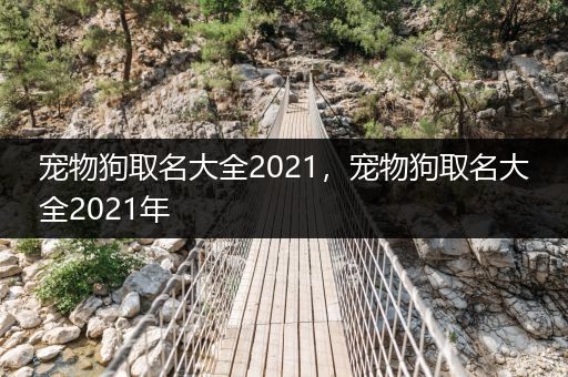 寵物狗取名大全2021，寵物狗取名大全2021年