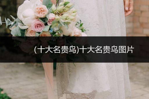 （十大名貴鳥)十大名貴鳥圖片