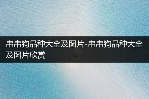 串串狗品種大全及圖片-串串狗品種大全及圖片欣賞