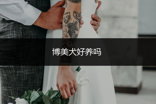 博美犬好養(yǎng)嗎 