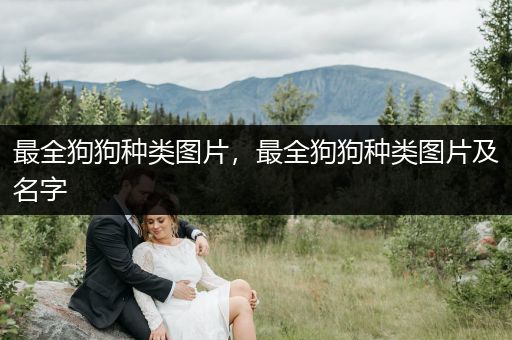 最全狗狗種類圖片，最全狗狗種類圖片及名字