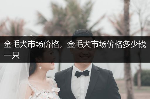 金毛犬市場價格，金毛犬市場價格多少錢一只