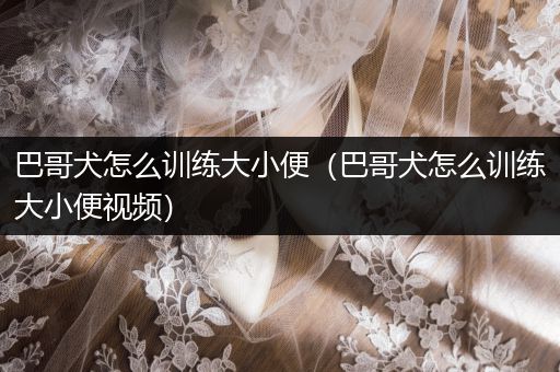 巴哥犬怎么訓(xùn)練大小便（巴哥犬怎么訓(xùn)練大小便視頻）