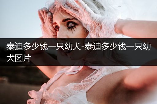 泰迪多少錢一只幼犬-泰迪多少錢一只幼犬圖片