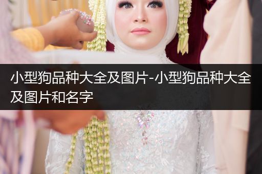 小型狗品種大全及圖片-小型狗品種大全及圖片和名字