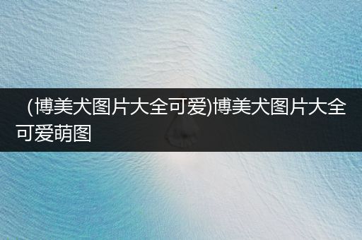 （博美犬圖片大全可愛(ài))博美犬圖片大全可愛(ài)萌圖