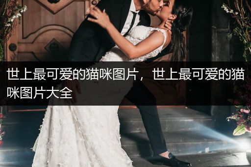 世上最可愛的貓咪圖片，世上最可愛的貓咪圖片大全