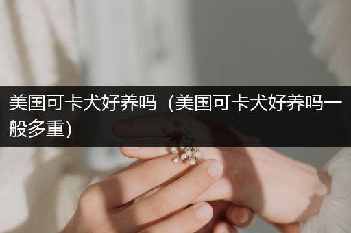 美國可卡犬好養(yǎng)嗎（美國可卡犬好養(yǎng)嗎一般多重）