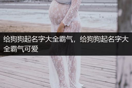 給狗狗起名字大全霸氣，給狗狗起名字大全霸氣可愛