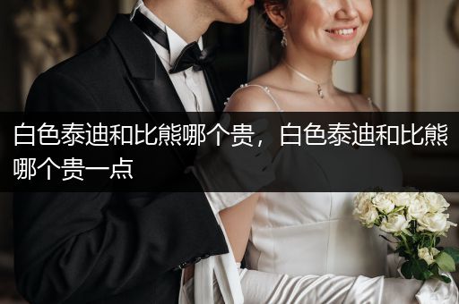 白色泰迪和比熊哪個貴，白色泰迪和比熊哪個貴一點