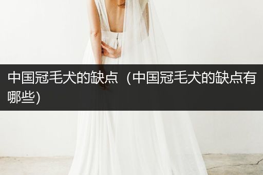 中國冠毛犬的缺點（中國冠毛犬的缺點有哪些）