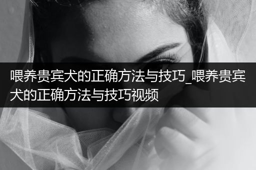 喂養(yǎng)貴賓犬的正確方法與技巧_喂養(yǎng)貴賓犬的正確方法與技巧視頻