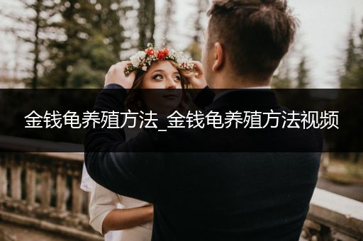 金錢龜養(yǎng)殖方法_金錢龜養(yǎng)殖方法視頻