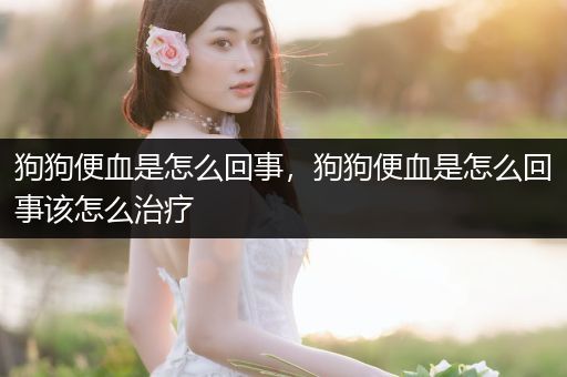 狗狗便血是怎么回事，狗狗便血是怎么回事該怎么治療