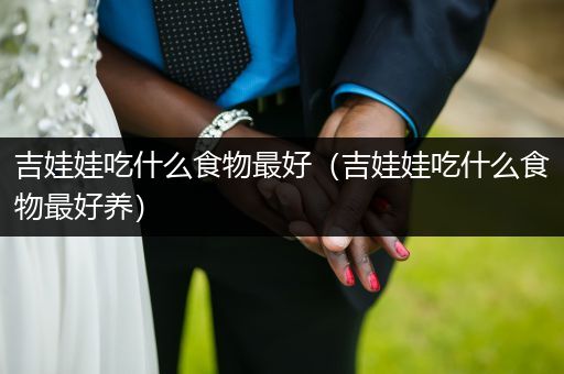 吉娃娃吃什么食物最好（吉娃娃吃什么食物最好養(yǎng)）