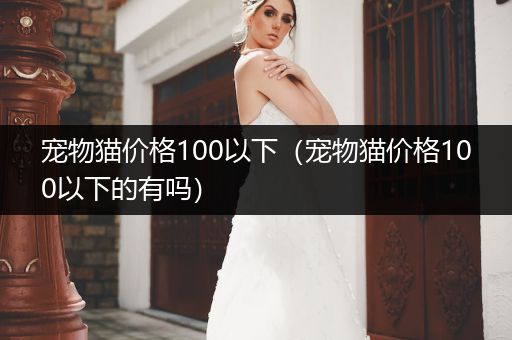 寵物貓價(jià)格100以下（寵物貓價(jià)格100以下的有嗎）