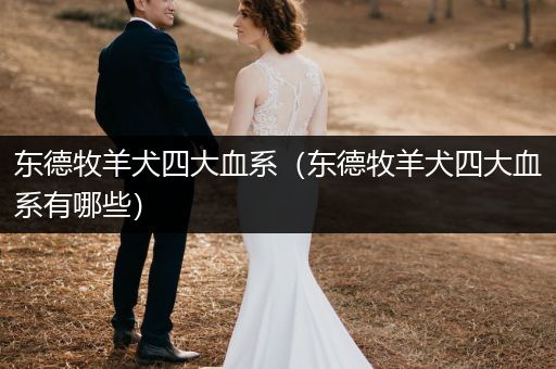 東德牧羊犬四大血系（東德牧羊犬四大血系有哪些）