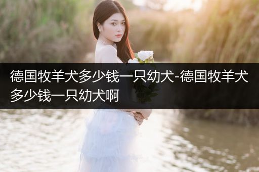 德國牧羊犬多少錢一只幼犬-德國牧羊犬多少錢一只幼犬啊